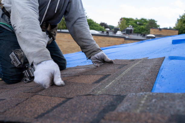 4 Ply Roofing in Edgemont Park, MI