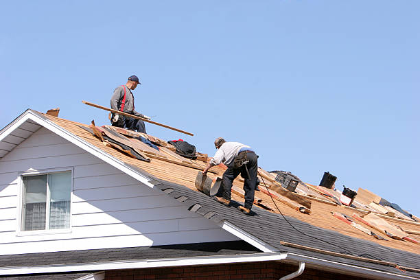 Best Roof Ventilation Installation  in Edgemont Park, MI